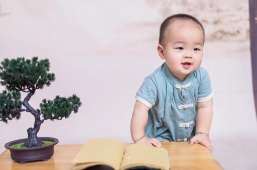试管代怀生子合法吗宝宝多久断奶